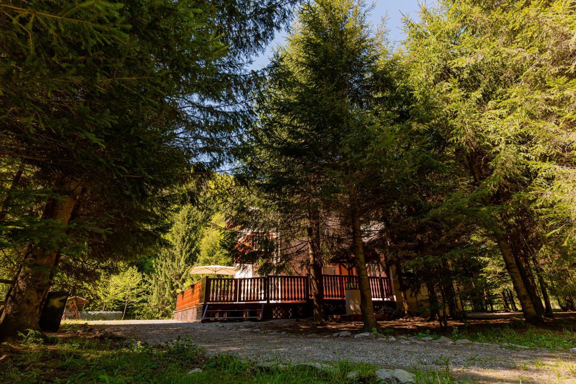 Cabana Zip Zărneşti Kültér fotó