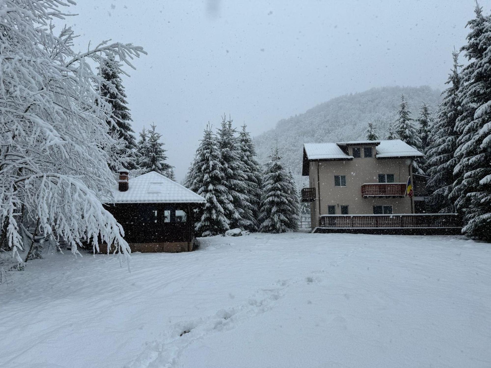 Cabana Zip Zărneşti Kültér fotó