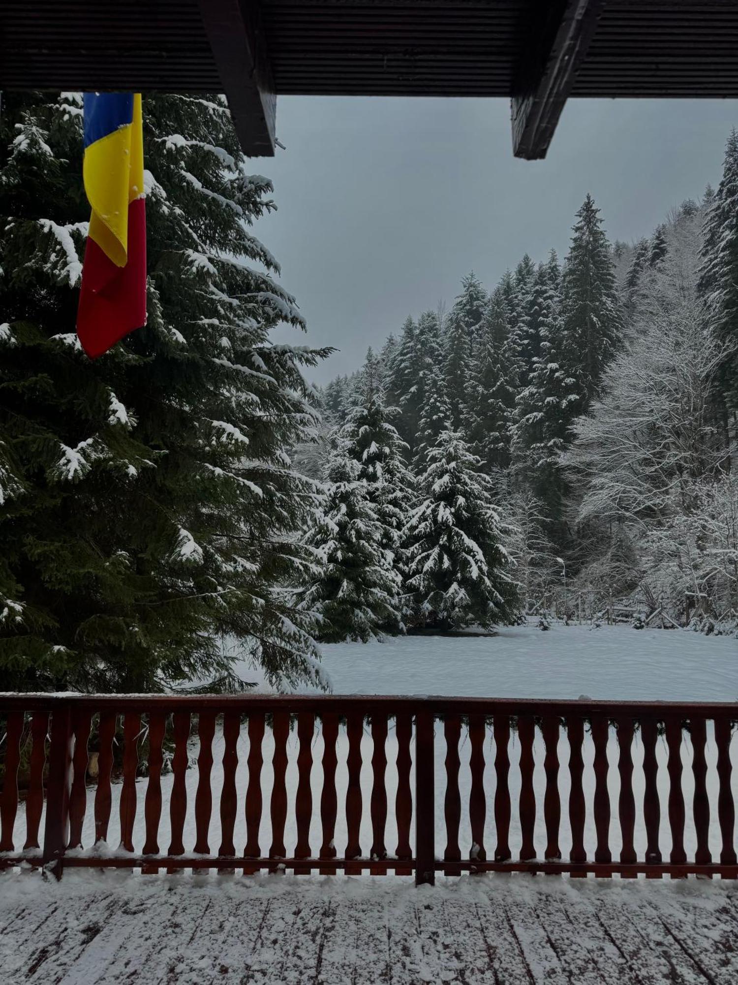 Cabana Zip Zărneşti Kültér fotó